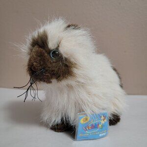 GANZ Webkinz Himalayan Cat Kitten Plush HM165 Sealed Unused Code